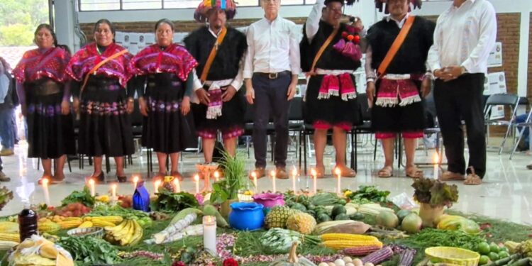 Reconoce Agricultura trabajo de productores y técnicos de Producción para el Bienestar en Chiapas y Oaxaca
