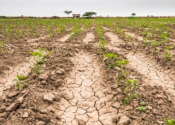 SERIAS DUDAS DE LA CAPACIDAD Y EXPERIENCIA DE ALGUNOS MIEMBROS DEL GABINETE DE CLAUDIA SHEINBAUM