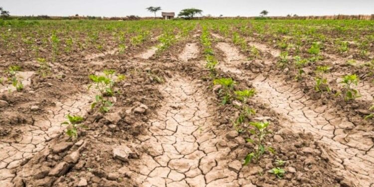 SERIAS DUDAS DE LA CAPACIDAD Y EXPERIENCIA DE ALGUNOS MIEMBROS DEL GABINETE DE CLAUDIA SHEINBAUM