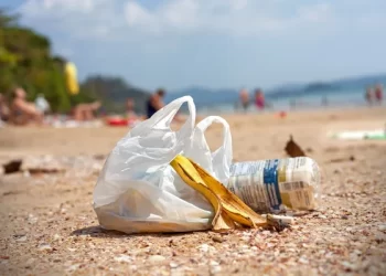 Llaman a sustentar las quejan contra quien deteriore o contamine el medio ambiente