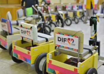Hay carritos PET para quienes los soliciten en el DIF