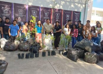Intercambiaran botellas de plástico por arboles de sombra