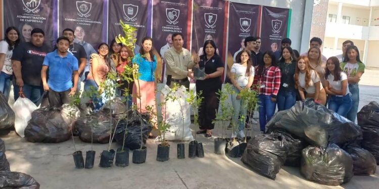 Intercambiaran botellas de plástico por arboles de sombra