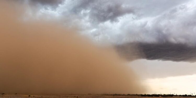 Llega el polvo del Sahara a la región norte de Coahuila: PC