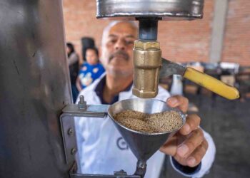 Nombra FAO a México como país de demostración del amaranto