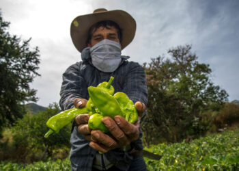 Con la participación de 12 países, esta semana realizará Agricultura 3er Congreso Interamericano de Agua, Suelo y Agrobiodiversidad