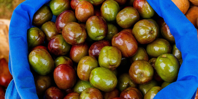 México y EU avanzan en acuerdos de exportación de mango, mamey, chicozapote, ciruela, guanábana e higo negro