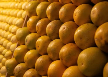 Inicia Agricultura Red de Monitoreo en México, con instalación de trampas para monitorear y alertar sobre plagas en zonas citrícolas