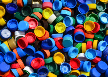 Durante el torneo internacional de póker en el Royal Yak