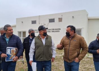 COAHUILA AVANZA EN EL COMBATE DE PLAGAS EN CULTIVOS DE MAÍZ, TRIGO, NUECES E HIGO