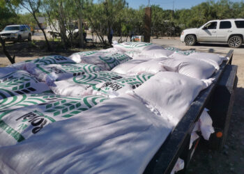 Benefician a agricultores con paquetes de semilla de avena forrajera