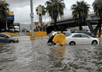 ¿Y de quién es la culpa?
