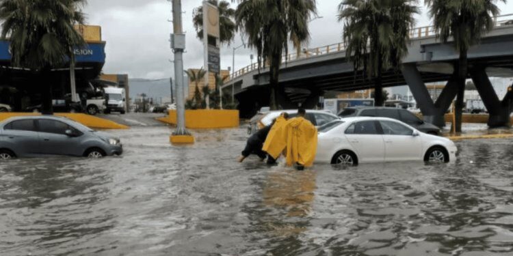 ¿Y de quién es la culpa?