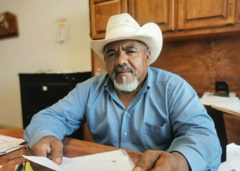 Distribuirán a productores de Acuña 17 t de semilla de avena forrajera