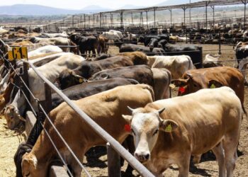 ¿Y dónde quedaron esos cierres?