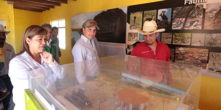 ANUNCIA MANOLO GRAN PROYECTO TURÍSTICO PARA BOQUILLAS DEL CARMEN