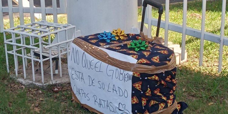 «regalo» de Los Chapitos para La Mayiza, causa polémica