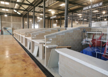 Luchan por quitarle lo desolado al Mercado municipal