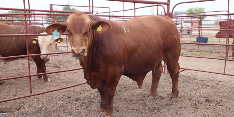 REACCIONA COAHUILA ANTE CONTENGENCIA ZOOSANITARIA EN EL SUR DEL PAÍS