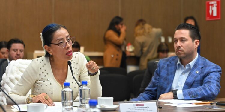 ¡EXHORTA LA DIPUTADA PÉREZ CERÓN A MUNICIPIOS RESOLVER CONFLICTOS LIMÍTROFES MEDIANTE CONVENIOS AMISTOSOS!!