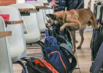 Operativos Mochila en primarias y secundarias es permanente