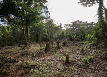 ANUNCIA LA SECRETARÍA DE AGRICULTURA “ESTRATEGIA NACIONAL DE TRANSICIÓN AGROECOLÓGICA 2024 – 2030”, ANTE AGRÓNOMOS DE UAM