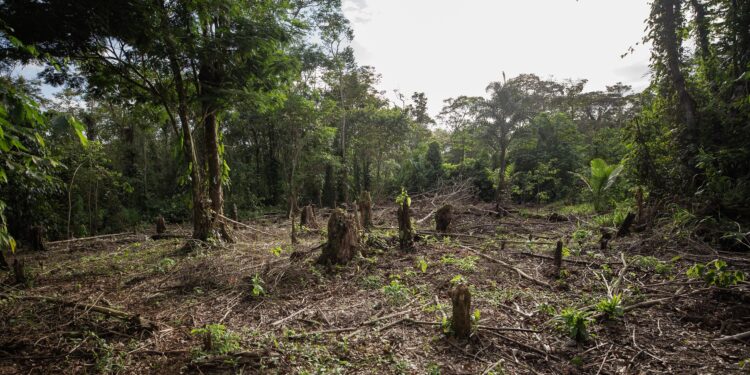 ANUNCIA LA SECRETARÍA DE AGRICULTURA “ESTRATEGIA NACIONAL DE TRANSICIÓN AGROECOLÓGICA 2024 – 2030”, ANTE AGRÓNOMOS DE UAM