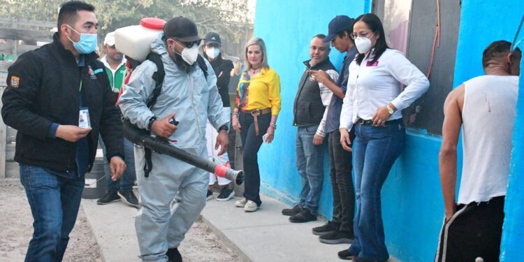 SUMAN ESFUERZOS CONTRA EL DENGUE