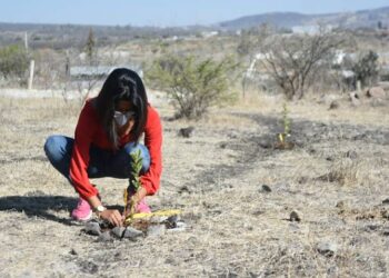 En escuela primaria promueven responsabilidad social y ambiental