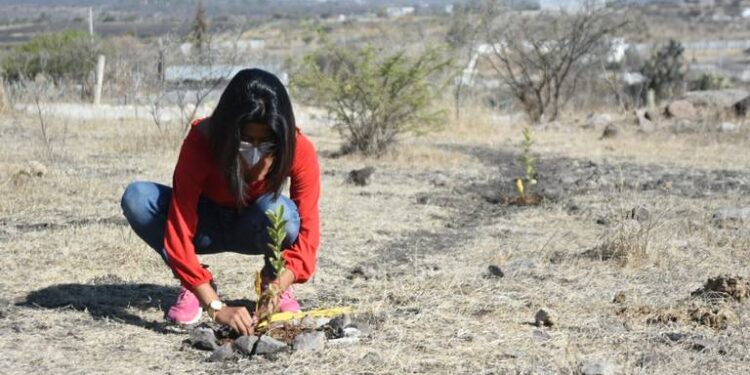 En escuela primaria promueven responsabilidad social y ambiental
