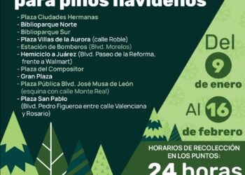 Ofrece Municipio espacios para disponer pinos navideños naturales