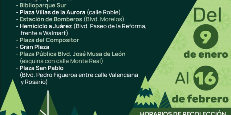 Ofrece Municipio espacios para disponer pinos navideños naturales