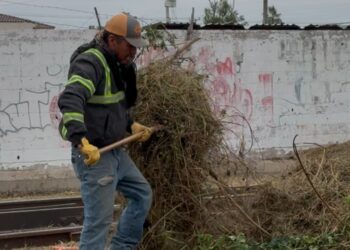 Intensifican trabajos de limpieza en Sabinas