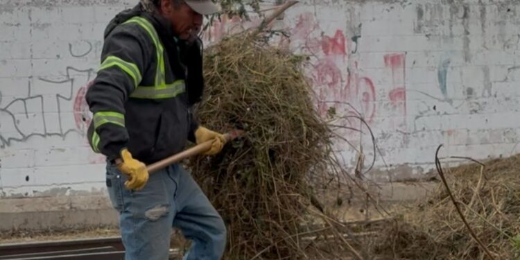 Intensifican trabajos de limpieza en Sabinas