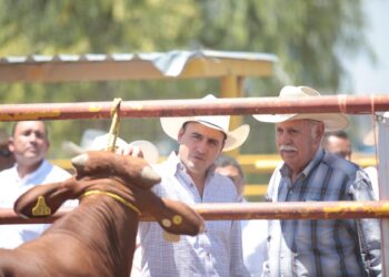 OTORGA GOBIERNO DEL ESTADO ESTÍMULOS FISCALES A GANADEROS