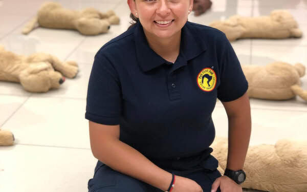 Impartirán curso para primeros auxilios en mascotas