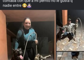 Perro mata a especie protegida, pero su dueña que presumió en redes sociales.