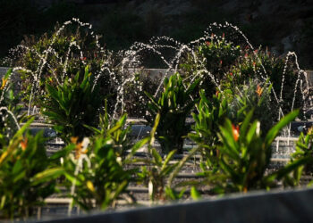 Contribuye Arca Continental a la sostenibilidad hídrica con humedales artificiales