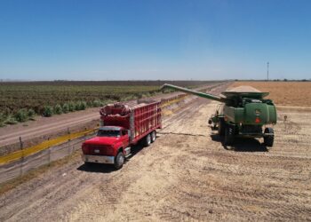 SE DISPARAN NERVIOSISMO E INCERTIDUMBRE EN SECTOR AGROALIMENTARIO: NEXUSAGRONEGOCIOS