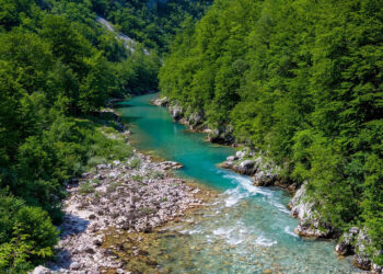 Convocan a participar en diversos concursos por la celebración del Dia mundial del Agua