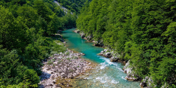 Convocan a participar en diversos concursos por la celebración del Dia mundial del Agua
