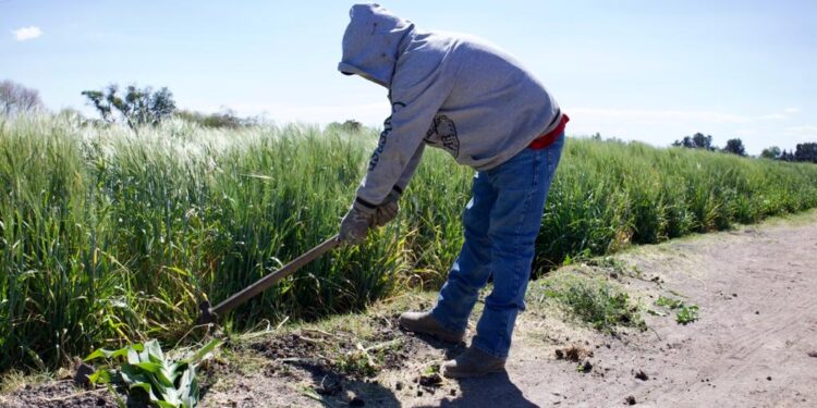 VAN SEIS AÑOS Y MEDIO DE ANGUSTIA DE PRODUCTORES AGRÍCOLAS PECUARIOS, INDUSTRIALES Y PESQUEROS