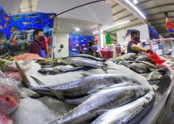 En esta Cuaresma recomiendan comprar pescado y mariscos frescos en comercios establecidos