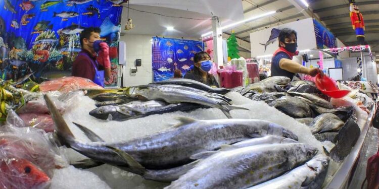 En esta Cuaresma recomiendan comprar pescado y mariscos frescos en comercios establecidos
