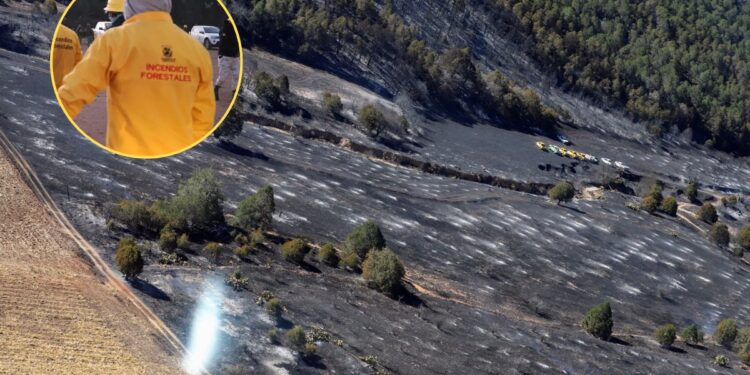 EN EQUIPO, VAMOS A SEGUIR CUIDANDO NUESTROS BOSQUES: MANOLO