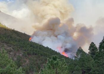 El incendio de uno, es el de todos
