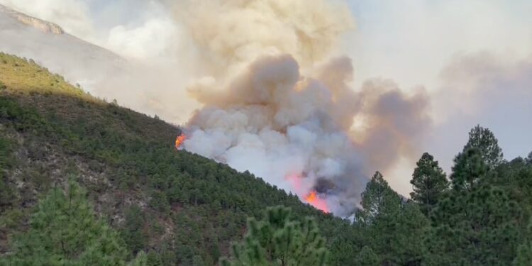 El incendio de uno, es el de todos