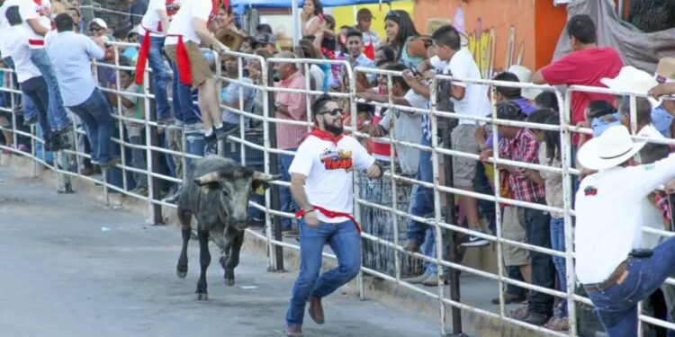 Promocionan Running Las Vacas en Texas