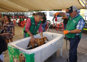 GOBIERNO DE COAHUILA ACERCA SERVICIOS GRATUITOS DE SALUD PARA MASCOTAS A TRAVÉS DE MEJORA