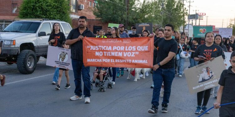 Más de 270 Personas Participan en la Marcha Contra el Maltrato Animal en Piedras Negras